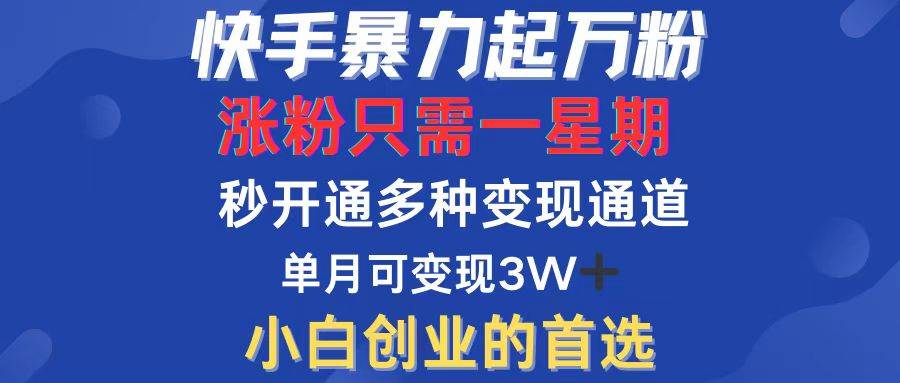 （12651期）快手暴力起万粉，涨粉只需一星期，多种变现模式，直接秒开万合，小白创…插图零零网创资源网