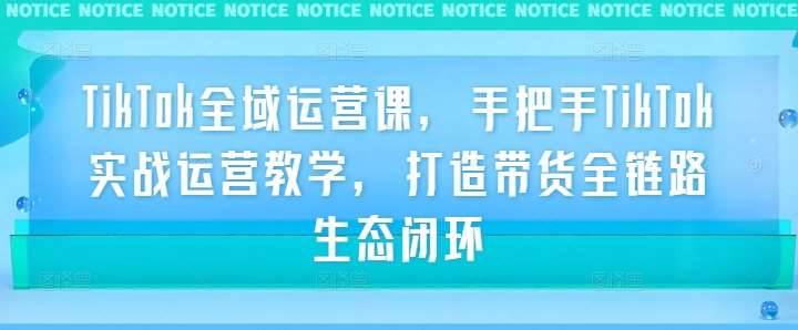 TikTok全域运营课，手把手TikTok实战运营教学，打造带货全链路生态闭环插图零零网创资源网