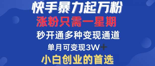 快手暴力起万粉，涨粉只需一星期，多种变现模式，直接秒开万合，单月变现过W【揭秘】插图零零网创资源网