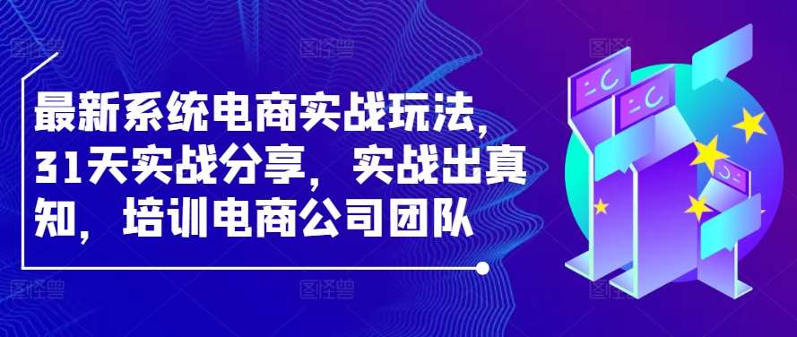 最新系统电商实战玩法，31天实战分享，实战出真知，培训电商公司团队插图零零网创资源网