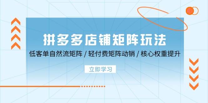 （12720期）拼多多店铺矩阵玩法：低客单自然流矩阵 / 轻付费矩阵 动销 / 核心权重提升插图零零网创资源网