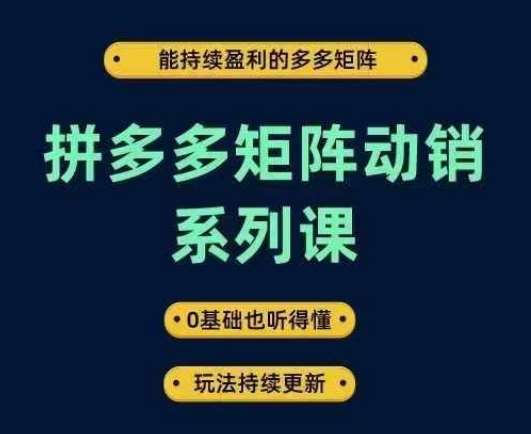 拼多多矩阵动销系列课，能持续盈利的多多矩阵，0基础也听得懂，玩法持续更新插图零零网创资源网