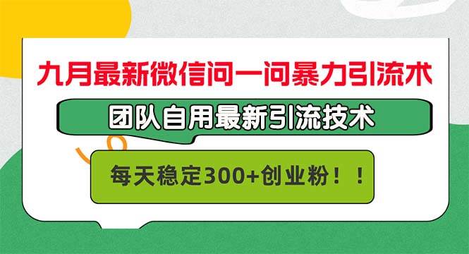 （12735期）九月最新微信问一问暴力引流术，团队自用引流术，每天稳定300+创…插图零零网创资源网