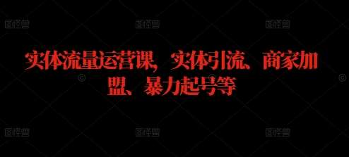 实体流量运营课，实体引流、商家加盟、暴力起号等插图零零网创资源网