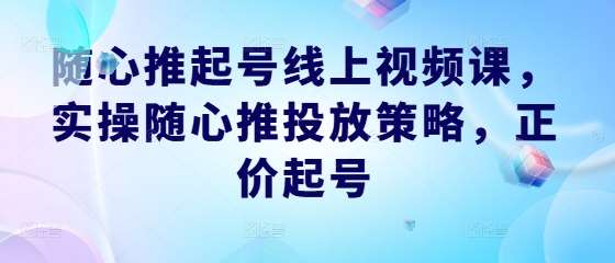 随心推起号线上视频课，实操随心推投放策略，正价起号插图零零网创资源网