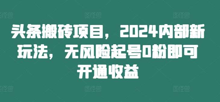 头条搬砖项目，2024内部新玩法，无风险起号0粉即可开通收益插图零零网创资源网