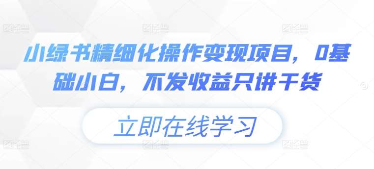 小绿书精细化操作变现项目，0基础小白，不发收益只讲干货插图零零网创资源网