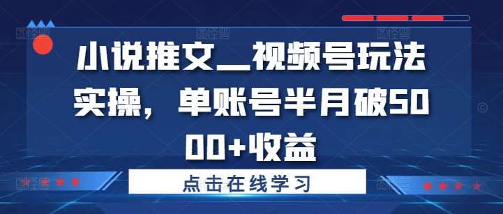 小说推文—视频号玩法实操，单账号半月破5000+收益插图零零网创资源网