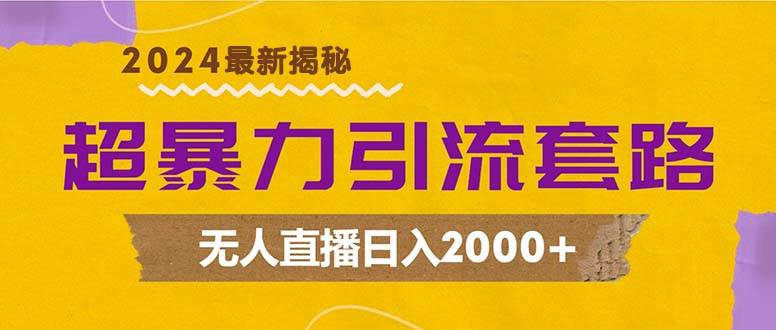 （12800期）超暴力引流套路，无人直播日入2000+插图零零网创资源网