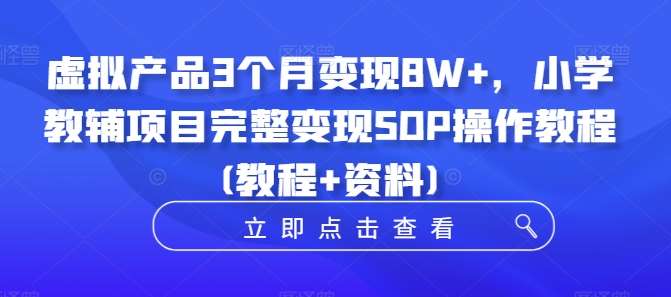 虚拟产品3个月变现8W+，小学教辅项目完整变现SOP操作教程(教程+资料)插图零零网创资源网