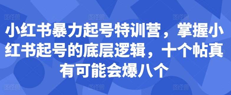 小红书暴力起号特训营，掌握小红书起号的底层逻辑，十个帖真有可能会爆八个插图零零网创资源网