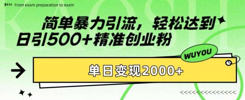 简单暴力引流，轻松达到日引500+精准创业粉，单日变现2k【揭秘】插图零零网创资源网