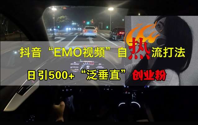 抖音EMO视频自热打法，日引500+“泛垂直”创业粉插图零零网创资源网