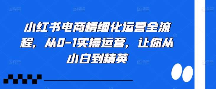 小红书电商精细化运营全流程，从0-1实操运营，让你从小白到精英插图零零网创资源网-最新赚钱项目