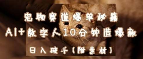 宠物赛道爆单秘籍：AI+数字人10分钟造爆款，日入1k插图零零网创资源网-最新赚钱项目