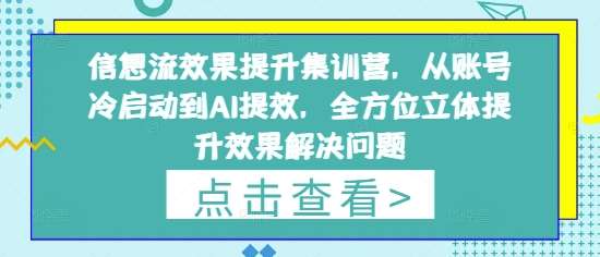 信息流效果提升集训营，从账号冷启动到AI提效，全方位立体提升效果解决问题插图零零网创资源网-最新赚钱项目