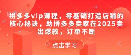 拼多多vip课程，零基础打造店铺的核心秘诀，助拼多多卖家在2025卖出爆款，订单不断插图零零网创资源网-最新赚钱项目