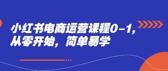 小红书电商运营课程0-1，从零开始，简单易学插图零零网创资源网-最新赚钱项目