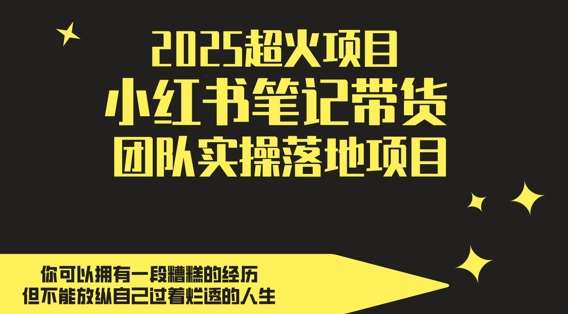 2025超火项目，副业最佳选择，小红书笔记带货团队实操落地项目，，轻松日入5张插图零零网创资源网-最新赚钱项目