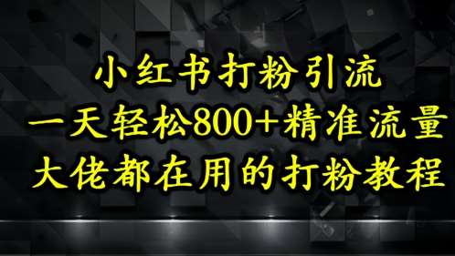 小红书打粉引流，一天轻松500+精准流量，大佬都在用的打粉教程插图零零网创资源网-最新赚钱项目