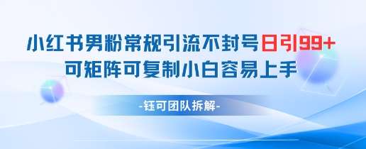 小红书男粉常规引流不封号日引99+变现简单 可矩阵可复制小白容易上手插图零零网创资源网-最新赚钱项目