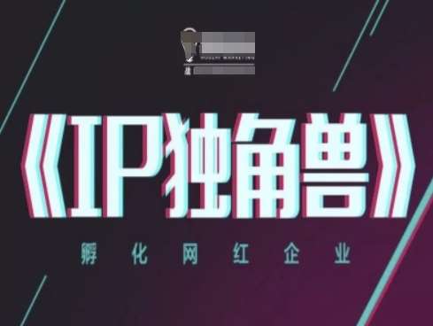 IP独角兽，孵化网红企业，ip教程插图零零网创资源网-最新赚钱项目