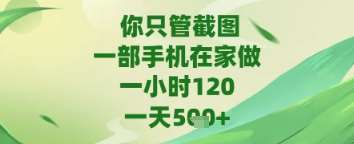 你只管截图，一部手机在家做，苹果安卓都可以，一天5张+【揭秘】插图零零网创资源网-最新赚钱项目
