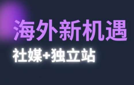2025出海新机遇(社媒+独立站)，海外新机遇，实现独立站的高效运营与出海插图零零网创资源网-最新赚钱项目