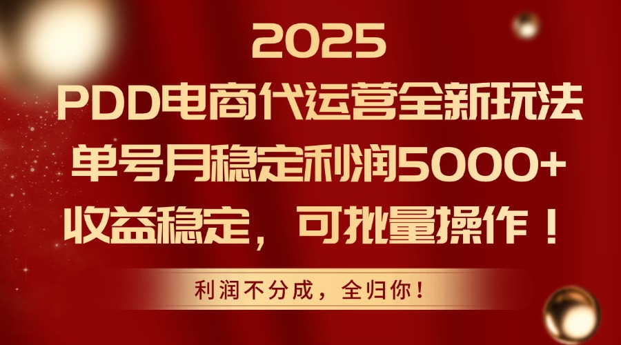 2025 PDD电商代运营全新玩法，单号月稳定利润5000+，收益稳定，可批量操作！插图零零网创资源网-最新赚钱项目