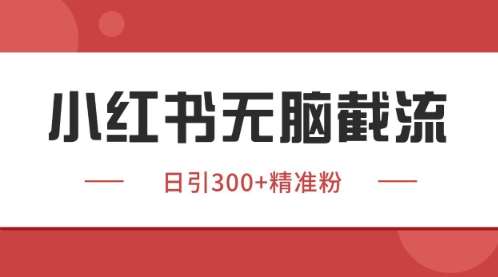 小红书只要你有同行就能获客，独家野路子获客玩法，暴力截流【揭秘】插图零零网创资源网-最新赚钱项目