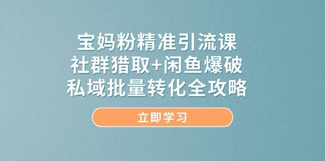 宝妈粉精准引流课，社群猎取+闲鱼爆破，私域批量转化全攻略插图零零网创资源网-最新赚钱项目