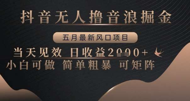 抖音无人撸音浪掘金，五月最新风口项目，当天见效，日收益多张，小白可做简单粗暴可矩阵【揭秘】插图零零网创资源网-最新赚钱项目