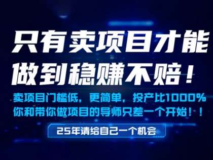 只有卖项目才能做到稳挣不赔，门槛低，更简单，你也可以年入百个W【揭秘】插图零零网创资源网-最新赚钱项目
