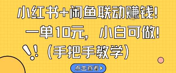 小红书+闲鱼联动挣钱，一单10元，小白可做插图零零网创资源网-最新赚钱项目
