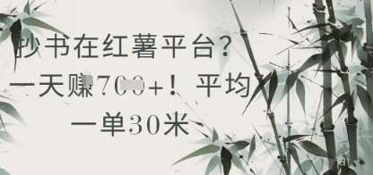 抄书在小红薯平台？平均一单30米，一天收益几张！插图零零网创资源网-最新赚钱项目