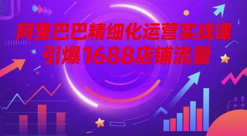 阿里巴巴精细化运营实战课，引爆1688店铺流量插图零零网创资源网-最新赚钱项目