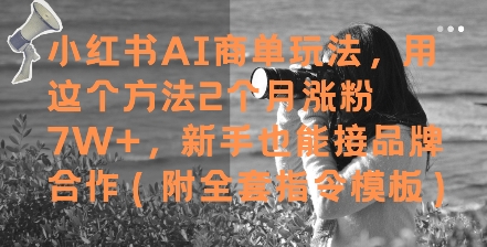 小红书AI商单玩法，用这个方法2个月涨粉7W+，新手也能接品牌合作(附全套指令模板)插图零零网创资源网-最新赚钱项目