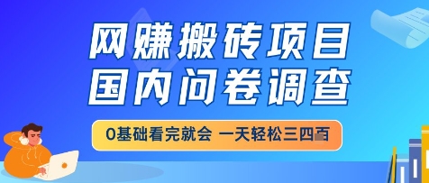 网创搬砖项目，国内问卷调查，小白轻松上手，一天三四张的也不难，干就完了【揭秘】插图零零网创资源网-最新赚钱项目