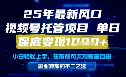 25年最新风口，视频号托管项目，单日保底变现1k+，手把手教学【揭秘】插图零零网创资源网-最新赚钱项目
