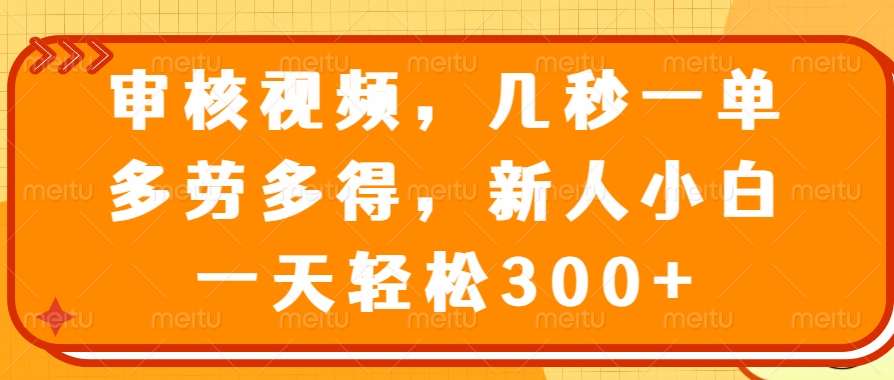 视频审核员，几秒一单，多劳多得，新人小白一天轻松300+插图零零网创资源网-最新赚钱项目