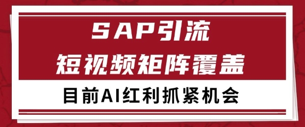 小红书某音sap赛道引流获客 自热矩阵日引200+【揭秘】插图零零网创资源网-最新赚钱项目