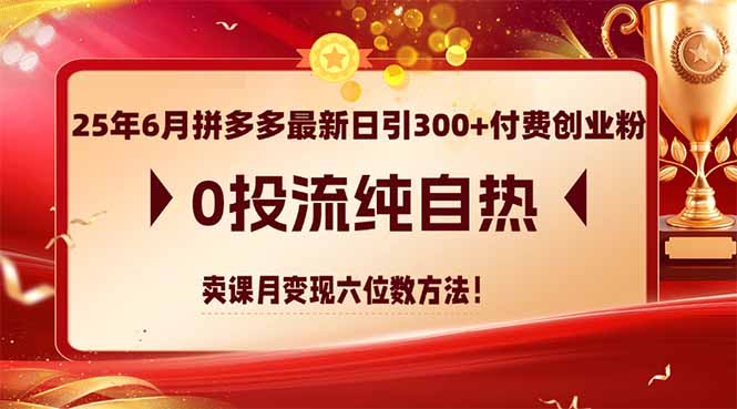 （14989期）25年6月拼多多最新日引300+付费创业粉，0投流纯自热 卖课月变现六位数方法插图零零网创资源网-最新赚钱项目