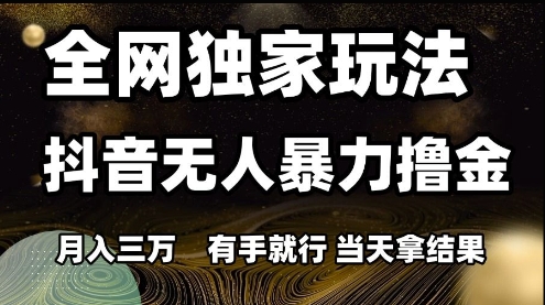 全网独家玩法抖音无人暴力撸金，月入3W，有手就行，当天拿结果【揭秘】插图零零网创资源网-最新赚钱项目