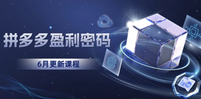 （15005期）拼多多盈利密码：从烧钱推广到印钞模型，底层逻辑重构指南（6月更新）插图零零网创资源网-最新赚钱项目
