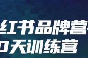 小红书品牌60天训练营第6期，GMV2亿级品牌老板都在学，教会你内容营销底层逻辑