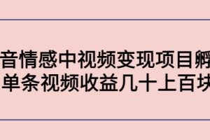 副业孵化营第5期：抖音情感中视频变现项目孵化 单条视频收益几十上百