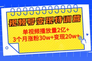 21天视频号变现特训营：单视频播放量2亿+3个月涨粉30w+变现20w+