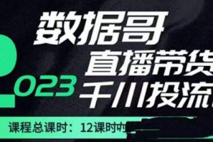 数据哥2023直播电商巨量千川付费投流实操课，快速掌握直播带货运营投放策略