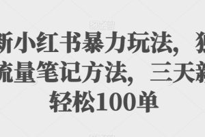 最新小红书暴力玩法，独家拉流量笔记方法，三天新号轻松100单【揭秘】