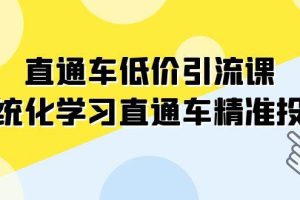 （7698期）直通车-低价引流课，系统化学习直通车精准投放（14节课）